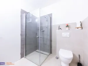 Prodej apartmánu, Staré Město - Stříbrnice, 450 m2