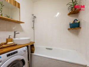 Prodej bytu 1+kk, Brandýs nad Labem-Stará Boleslav - Brandýs nad Labem, Vrábská, 30 m2