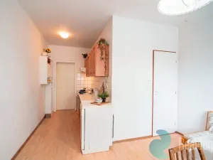 Prodej bytu 1+1, České Budějovice, Kubatova, 50 m2