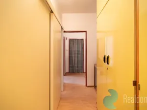Prodej bytu 1+1, České Budějovice, Kubatova, 50 m2