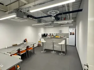Pronájem kanceláře, Brno, Lazaretní, 150 m2