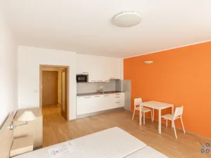 Pronájem bytu 1+kk, Praha - Žižkov, Kališnická, 32 m2