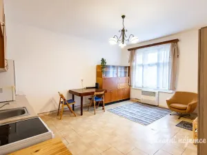 Pronájem bytu 1+kk, Praha - Žižkov, Jana Želivského, 30 m2