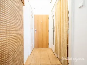 Pronájem bytu 1+kk, Praha - Žižkov, Jana Želivského, 30 m2