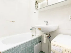 Pronájem bytu 1+kk, Praha - Žižkov, Jana Želivského, 30 m2