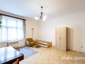 Pronájem bytu 1+kk, Praha - Žižkov, Jana Želivského, 30 m2