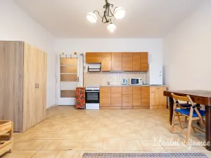 Pronájem bytu 1+kk, Praha - Žižkov, Jana Želivského, 30 m2