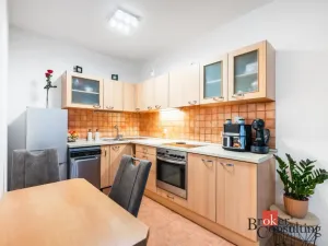 Prodej bytu 1+kk, Brno - Líšeň, Holzova, 40 m2