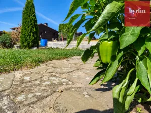 Prodej zahrady, Opava, Jaselská, 270 m2