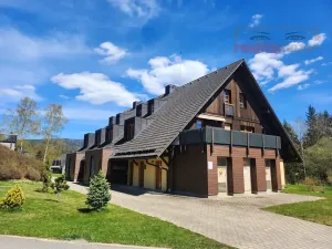 Prodej bytu 1+kk, Říčky v Orlických horách, 55 m2