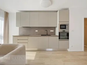 Pronájem bytu 1+kk, Brno, Auerswaldova, 38 m2