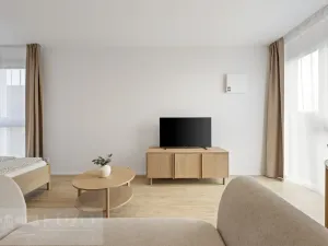 Pronájem bytu 1+kk, Brno, Auerswaldova, 38 m2