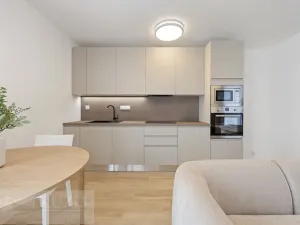 Pronájem bytu 1+kk, Brno, Auerswaldova, 38 m2
