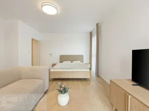Pronájem bytu 1+kk, Brno, Auerswaldova, 38 m2