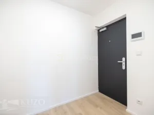 Pronájem bytu 1+kk, Brno, Auerswaldova, 38 m2