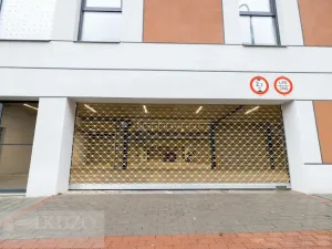 Pronájem bytu 1+kk, Brno, Auerswaldova, 38 m2