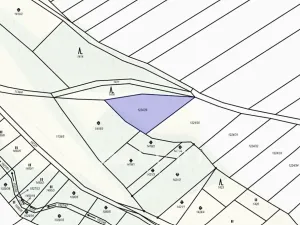 Prodej lesa, Peruc, 910 m2