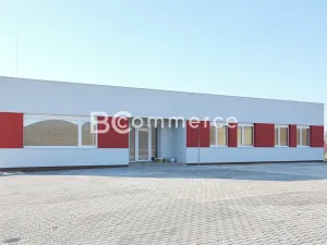Pronájem skladu, Brno, 880 m2