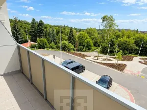 Pronájem bytu 1+kk, Kladno, Lesík, 30 m2