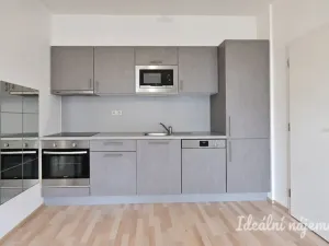 Pronájem bytu 2+kk, Brno, Kigginsova, 52 m2
