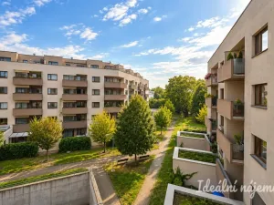 Pronájem bytu 2+kk, Brno, Kigginsova, 52 m2