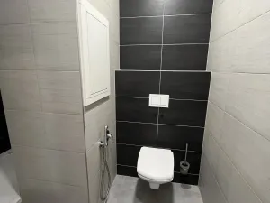 Pronájem bytu 1+1, Olomouc, Tovární, 33 m2