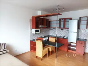Pronájem bytu 1+kk, Písek, V Portyči, 38 m2