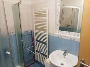 Pronájem bytu 1+kk, Písek, V Portyči, 38 m2