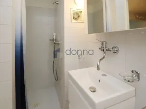 Pronájem bytu 1+1, Praha, K vodojemu, 58 m2