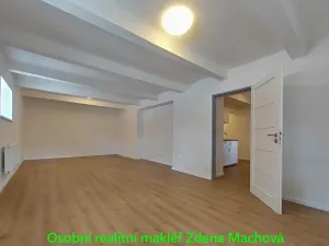 Pronájem kanceláře, Praha - Krč, U krčského nádraží, 52 m2