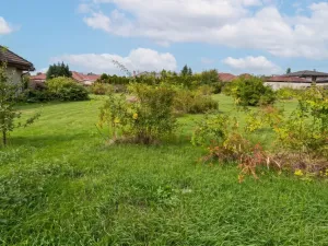 Prodej pozemku pro bydlení, Lichoceves - Noutonice, 911 m2