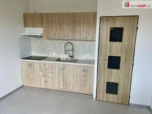 Pronájem bytu 1+1, Ústí nad Labem, Višňová, 38 m2