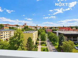 Pronájem bytu 1+kk, Žatec, Ostrov, 20 m2
