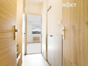 Pronájem bytu 1+kk, Žatec, Ostrov, 20 m2