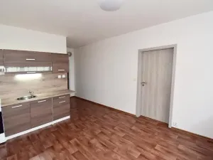 Prodej bytu 1+1, Chomutov, Písečná, 35 m2