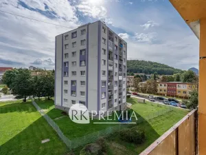 Prodej bytu 2+1, Bílina, M. Švabinského, 54 m2