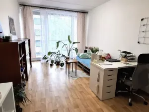 Pronájem bytu 1+kk, Olomouc, Kavaleristů, 28 m2