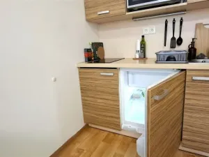 Pronájem bytu 1+kk, Olomouc, Kavaleristů, 28 m2