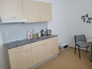 Pronájem bytu 1+kk, Brno, Vídeňská, 30 m2