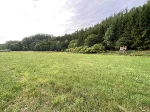 Prodej pole, Vranová Lhota, 2289 m2