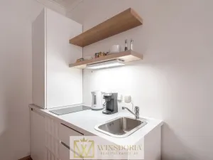 Pronájem bytu 1+kk, Praha, Eliášova, 28 m2