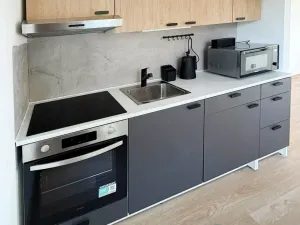 Pronájem bytu 2+kk, Benešov, Konopišťská, 40 m2
