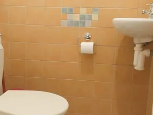 Pronájem bytu 2+1, Cheb, Májová, 105 m2