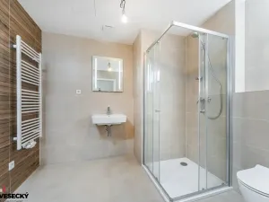 Prodej bytu 1+kk, Plzeň, Železná, 34 m2