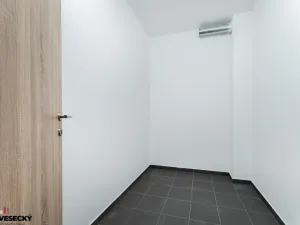 Prodej bytu 1+kk, Plzeň, Železná, 34 m2