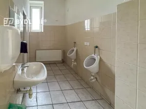 Pronájem restaurace, Teplice, Masarykova třída, 100 m2