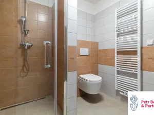 Pronájem bytu 2+kk, Rakovník, Lubenská, 55 m2