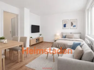 Pronájem bytu 1+kk, Havířov - Podlesí, Františka Hrubína, 23 m2