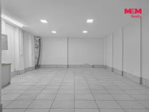 Pronájem skladu, Praha, Vlkova, 48 m2
