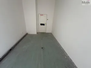 Prodej bytu 4+1, Louny, Slovenského národního povstání, 112 m2